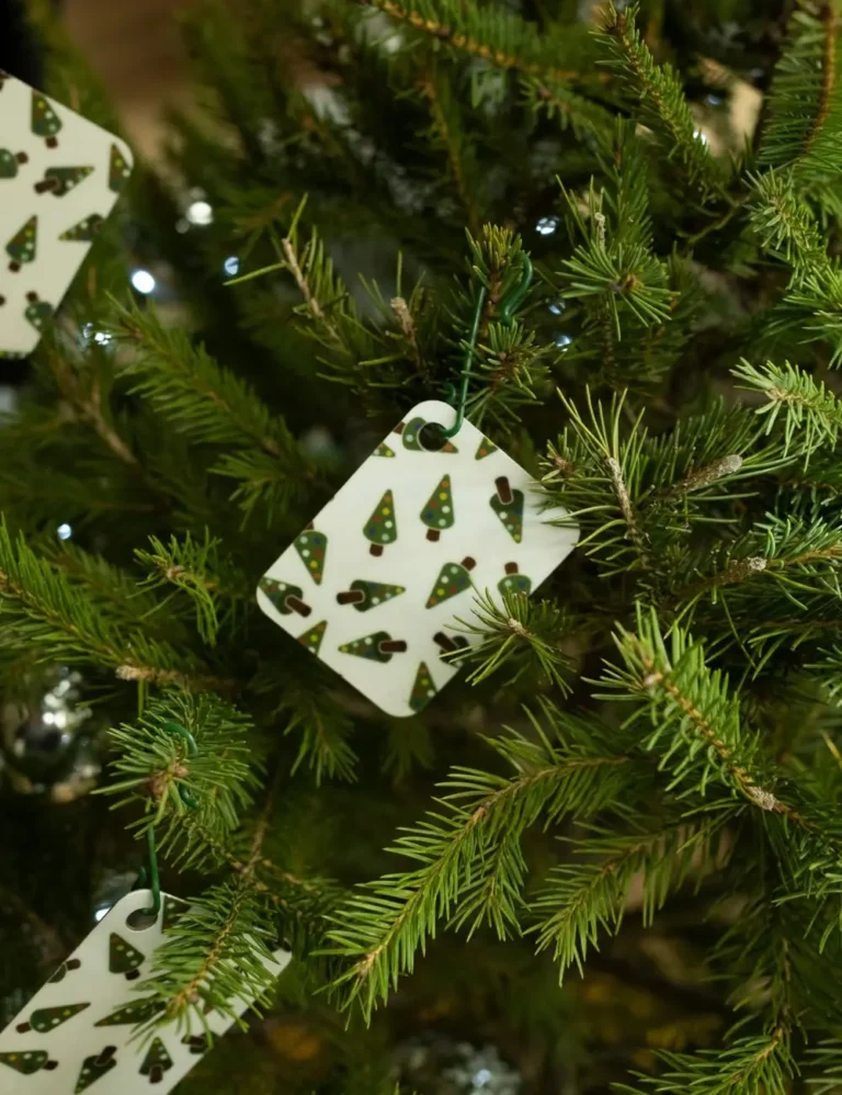 Abetini – Il decoro delle Feste Natalizie 2022