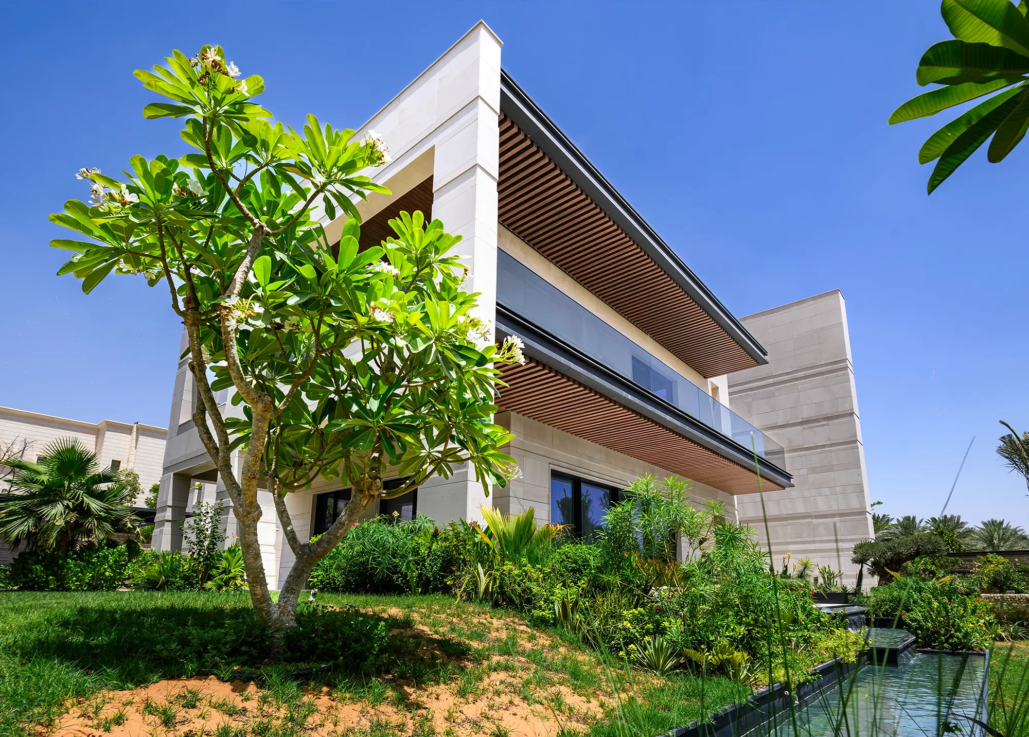 Patrzcie, morze zamarzło