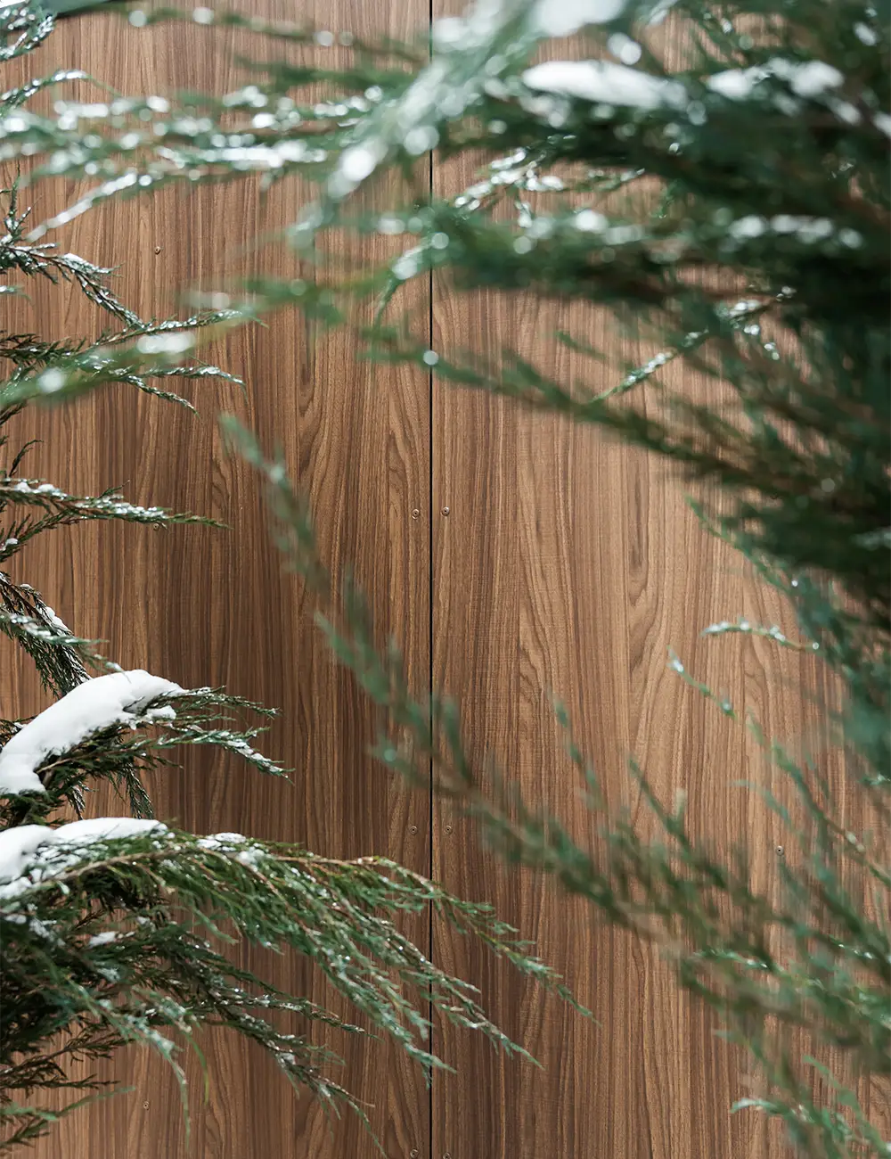 ABET-Padel Club Lisnyky-9